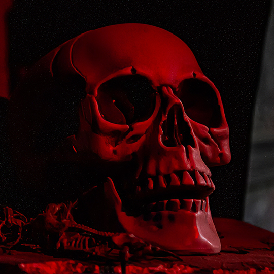 RHRweb-redskull-square